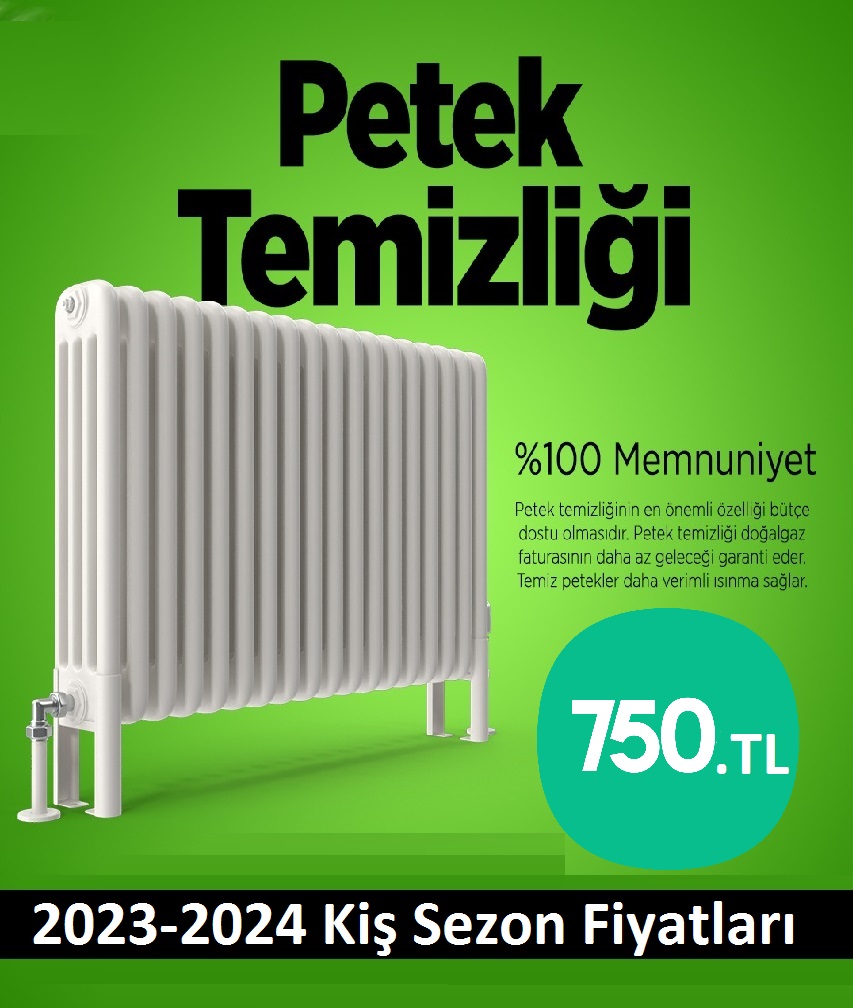 Darıca Petek Temizliği Tek Fiyat Teklifi Al